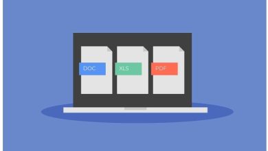 What Does PDF Stand For and How Many PDF Formats Are There?